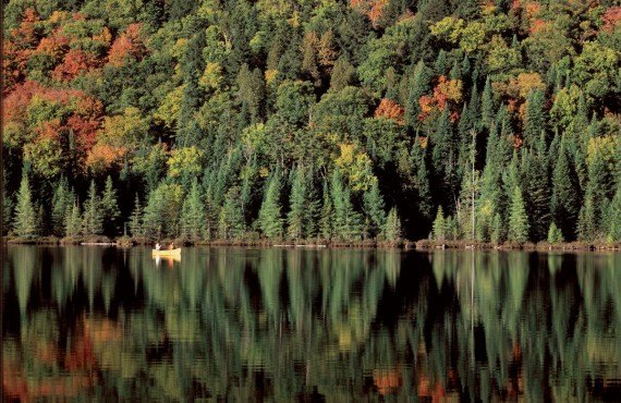 Oka National Park Travel Guide Free Pdf Book To Print