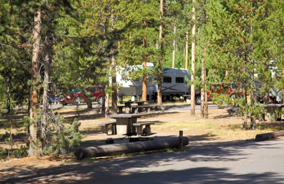 Camping Madison Parc National Yellowstone Wyoming 7601