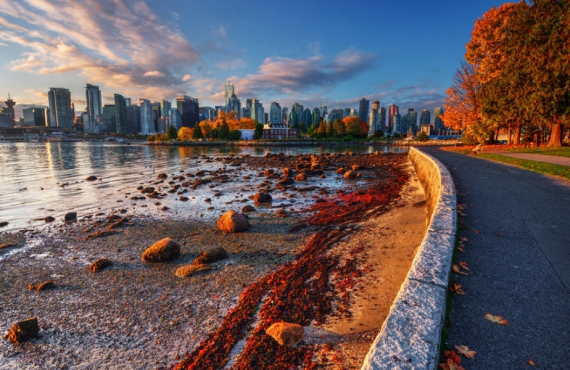 Visiter Le Parc Stanley De Vancouver : Le Guide Complet | Blog