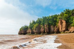 are dogs allowed at hopewell rocks novascotis